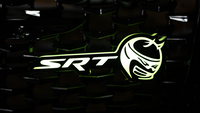 Flow Series SRT Angry Bee