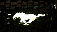 Flow Series Mustang
