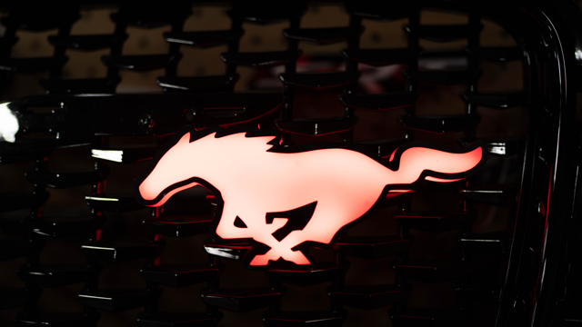 Flow Series Mustang