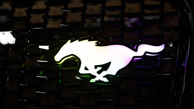 Flow Series Mustang
