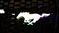 Flow Series Mustang