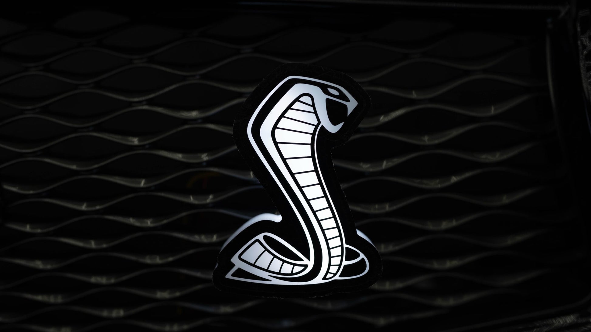 Flow Series Shelby Snake LED Badge
