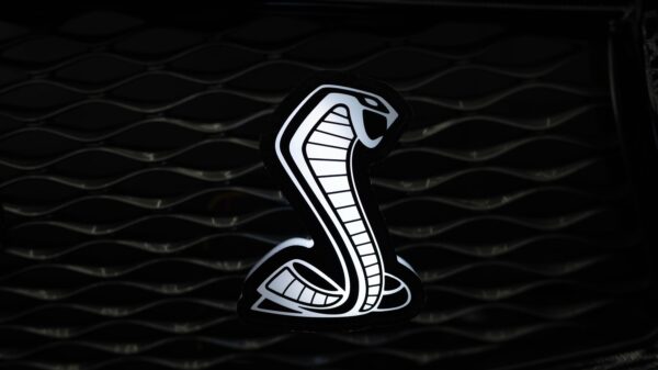 Flow Series Shelby Snake LED Badge